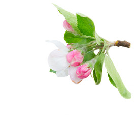 Similar image 13088660