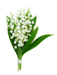 Similar image 13088746