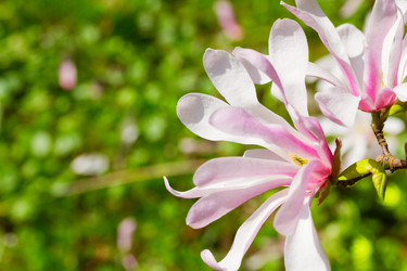 Similar image 13088823