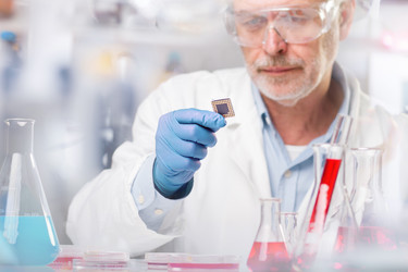 Similar image 13089289