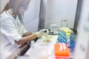 Similar image 13089290