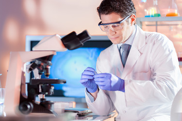 Similar image 13089929