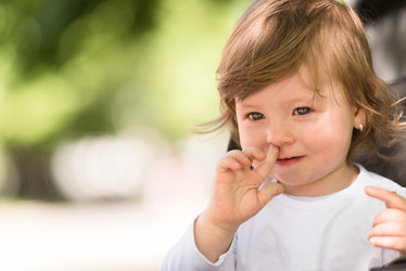 Similar image 13110301