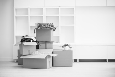 Similar image 13074073