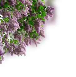 Similar image 13088606