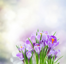 Similar image 13088649