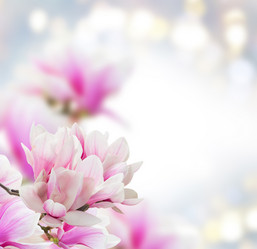 Similar image 13088661