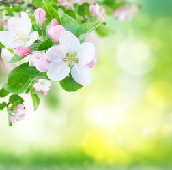 Similar image 13088683