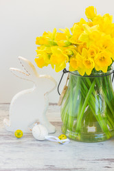 Similar image 13088228