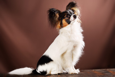 Similar image 13079461