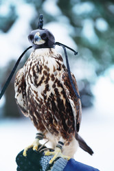 Similar image 13079538