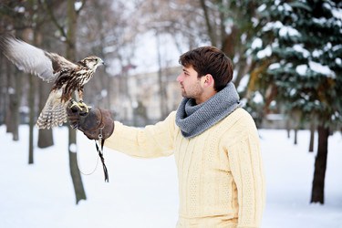 Similar image 13079540