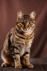 Similar image 13079500