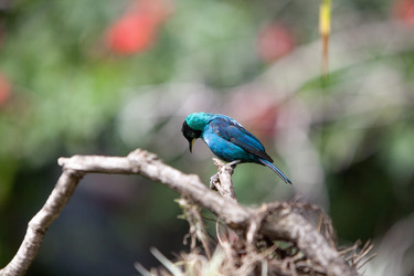 Similar image 13082617