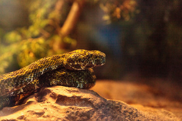 Similar image 13099557