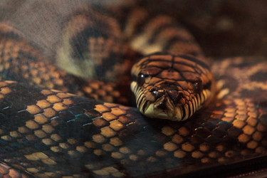 Similar image 13105617