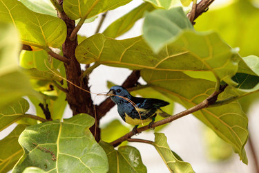 Similar image 13105637