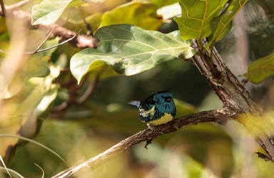 Similar image 13105638