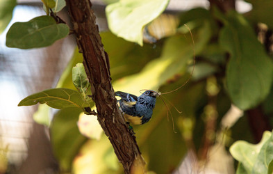 Similar image 13105678