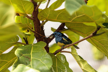 Similar image 13105680