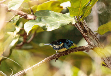 Similar image 13105681