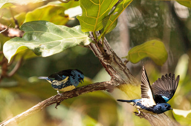 Similar image 13105682