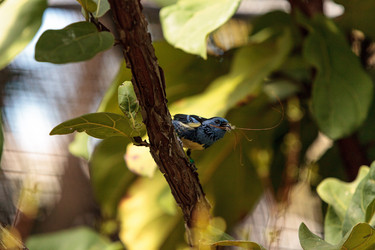 Similar image 13105717