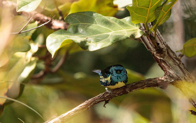 Similar image 13105737