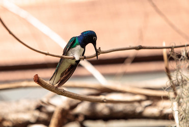 Similar image 13105758