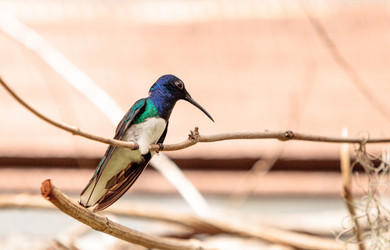 Similar image 13105759