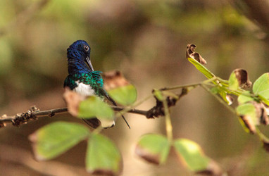 Similar image 13105760