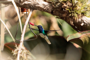 Similar image 13105761