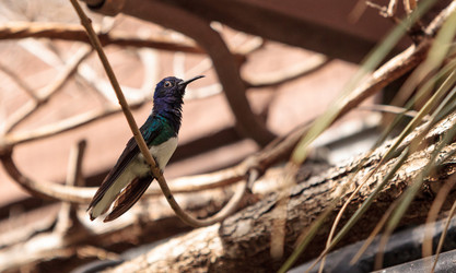 Similar image 13105778