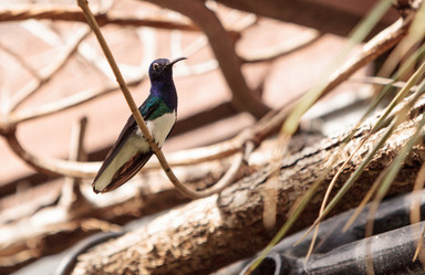 Similar image 13105779