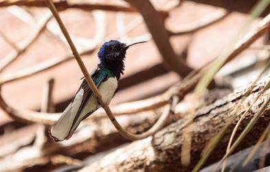 Similar image 13105798