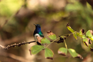 Similar image 13105815