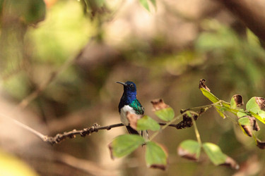 Similar image 13105816