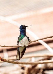 Similar image 13105817