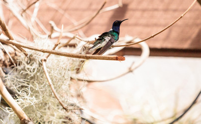 Similar image 13105818