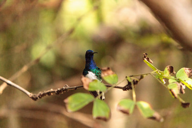 Similar image 13105835