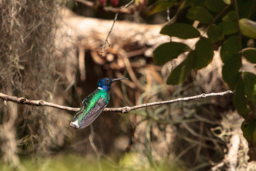 Similar image 13105836