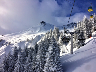 Similar image 13076253