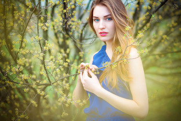 Similar image 13086836