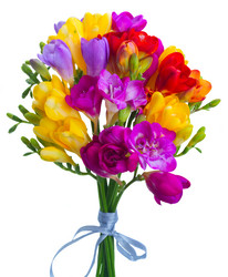 Similar image 13088650