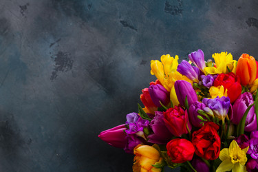 Similar image 13088706