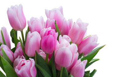 Similar image 13088667