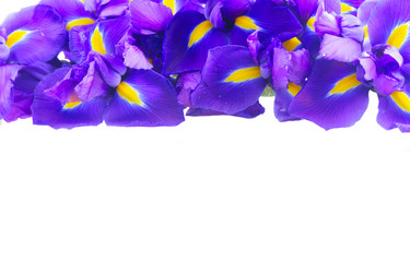 Similar image 13088687