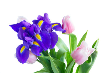 Similar image 13088724