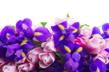 Similar image 13088809