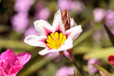 Similar image 13082619